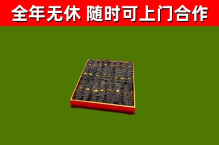 常山县回收海参